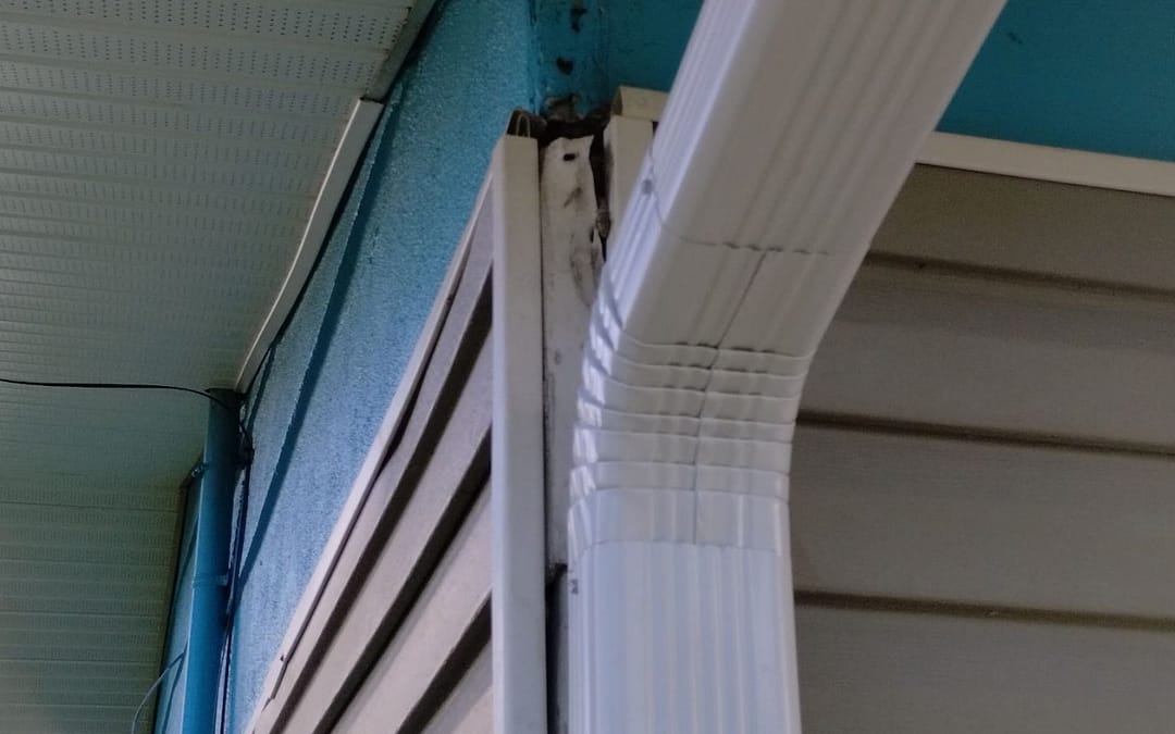 White Soffit and Fascia – Sarasota, FL